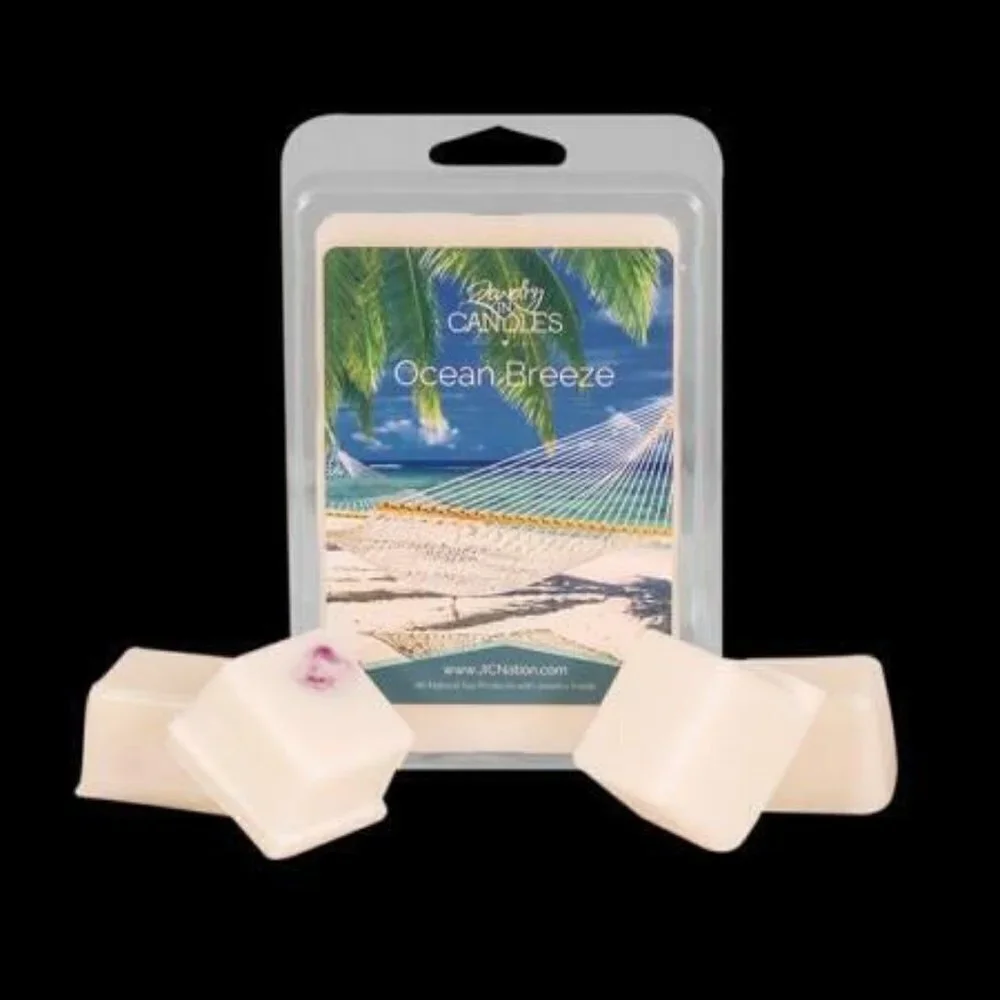 New Ocean breeze 21oz JIC Wax Tarts with a surprise earrings or necklace